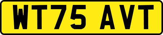 WT75AVT