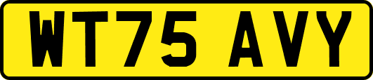 WT75AVY