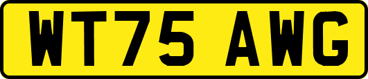 WT75AWG