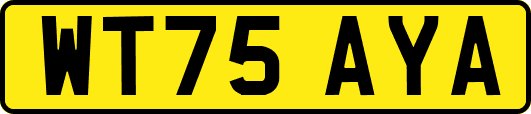 WT75AYA