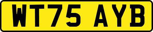 WT75AYB