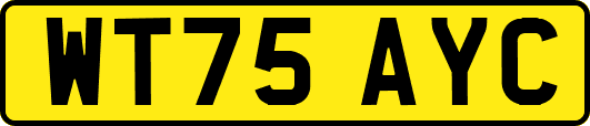 WT75AYC