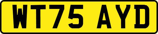 WT75AYD