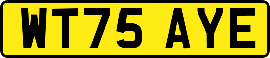 WT75AYE