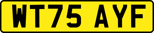 WT75AYF
