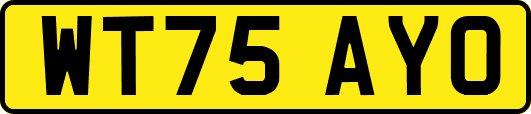 WT75AYO