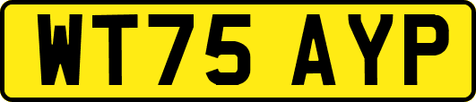 WT75AYP
