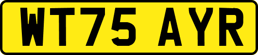 WT75AYR