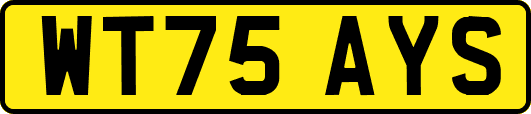 WT75AYS