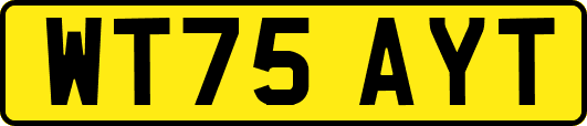 WT75AYT