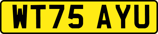 WT75AYU