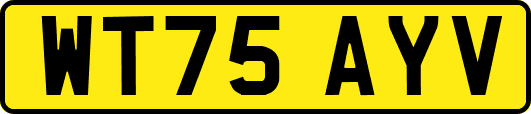 WT75AYV