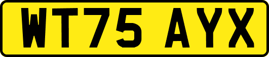 WT75AYX