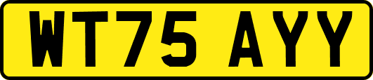WT75AYY