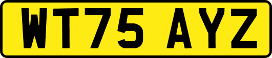 WT75AYZ