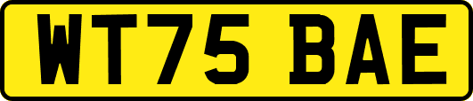 WT75BAE