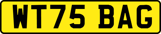 WT75BAG