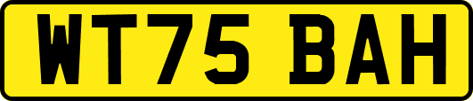 WT75BAH