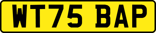 WT75BAP