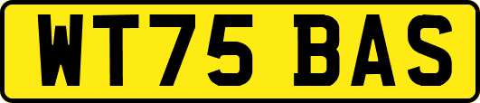 WT75BAS