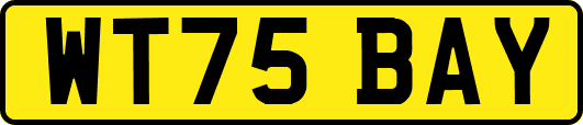 WT75BAY