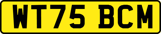 WT75BCM