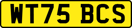 WT75BCS