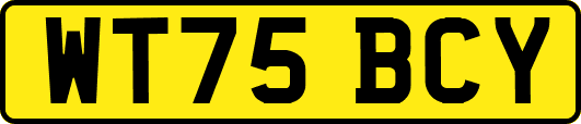 WT75BCY