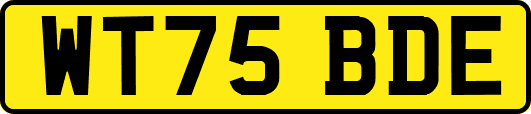 WT75BDE