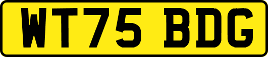 WT75BDG