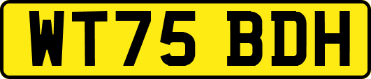 WT75BDH