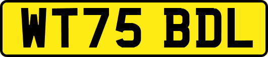 WT75BDL
