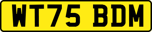 WT75BDM