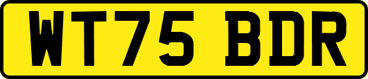 WT75BDR
