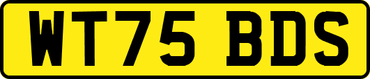WT75BDS