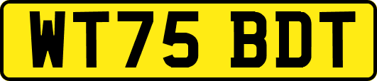 WT75BDT