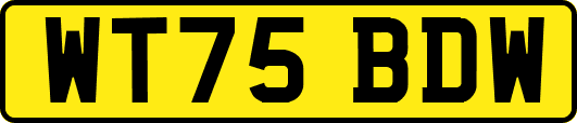 WT75BDW