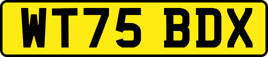 WT75BDX