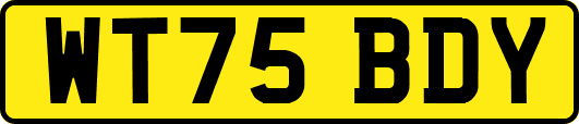 WT75BDY