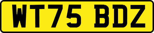 WT75BDZ
