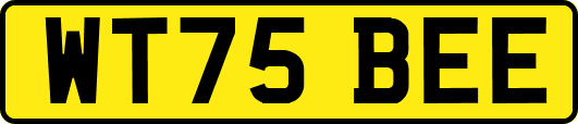WT75BEE