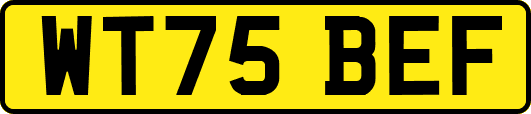 WT75BEF