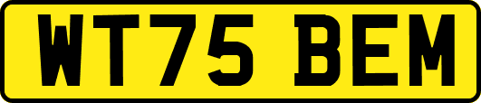 WT75BEM