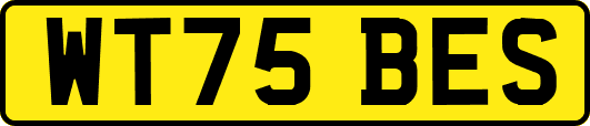 WT75BES
