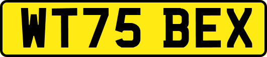 WT75BEX