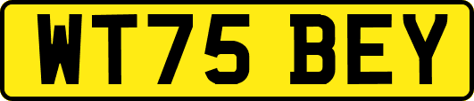 WT75BEY