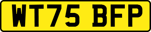 WT75BFP