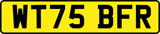 WT75BFR