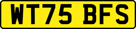 WT75BFS