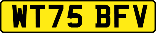 WT75BFV